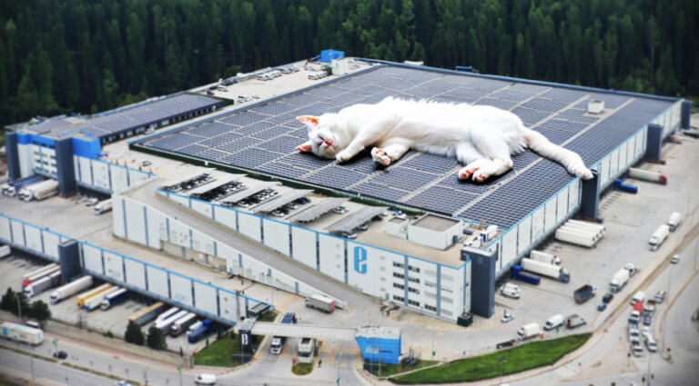 In addition to their contribution to nature, solar-panels are also good to keep the cats warm.